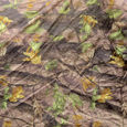 Picture of ATV Storage Cover
