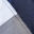Navy and Silver