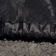 Picture of StormBlock™ ATV Cover